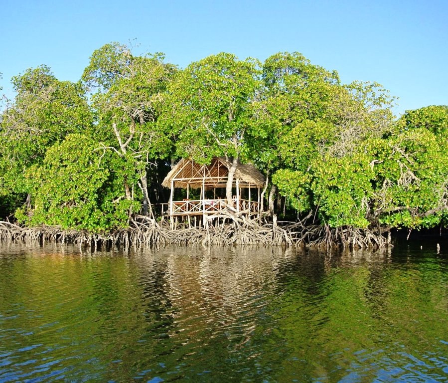 Mida Creek（水系 / 湖泊 / 海岸）-非行家旅行-Africa Wild Wander