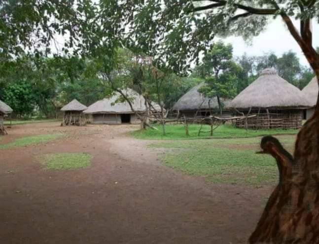 Nyamgondho Shrine(水系 / 湖泊 / 海岸)-非行家旅行-Africa Wild Wander