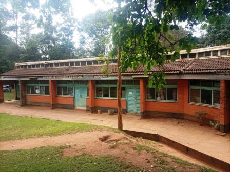 Kitale Museum（基塔莱博物馆）-非行家旅行-Africa Wild Wander
