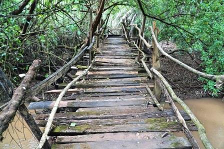 Kitale Nature Conservancy / Ndura Park（基塔莱自然保护地）-非行家旅行-Africa Wild Wander
