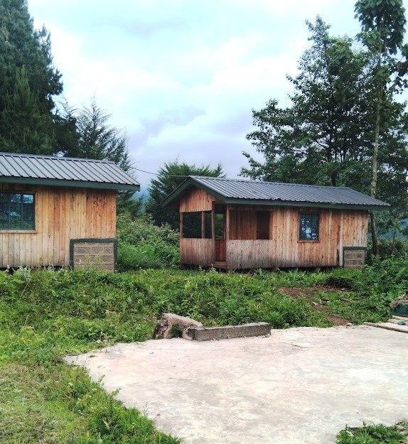 Aberdare Bongo Lodge（Aberdare 森林 / 徒步）-非行家旅行-Africa Wild Wander