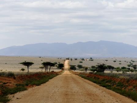 El Barta Plains（山地 / 高原 / 荒漠地貌）-非行家旅行-Africa Wild Wander