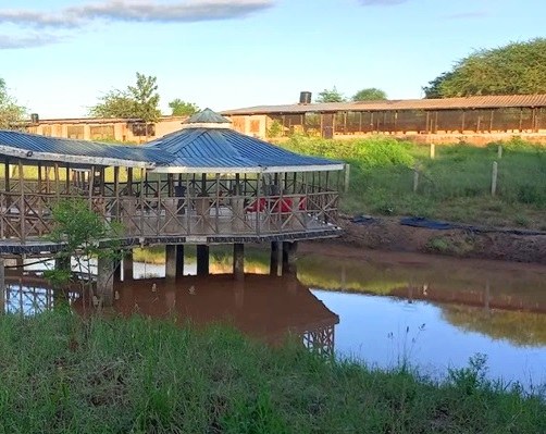 Revelation Recreation Park(启示休闲公园)-非行家旅行-Africa Wild Wander