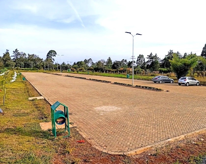 Eldoret Arboretum（埃尔多雷特树木园）-非行家旅行-Africa Wild Wander