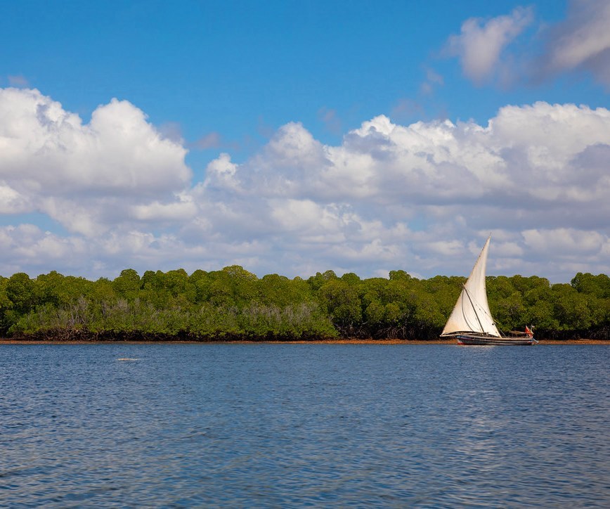 Mangrove Forests（保护区 / 海岸生态）-非行家旅行-Africa Wild Wander