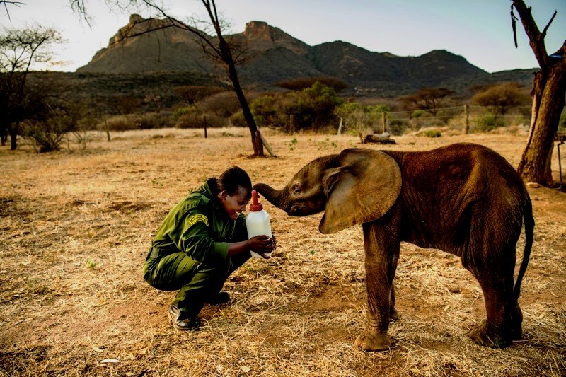 Reteti Elephant Sanctuary（雷特提大象保护中心）-非行家旅行-Africa Wild Wander
