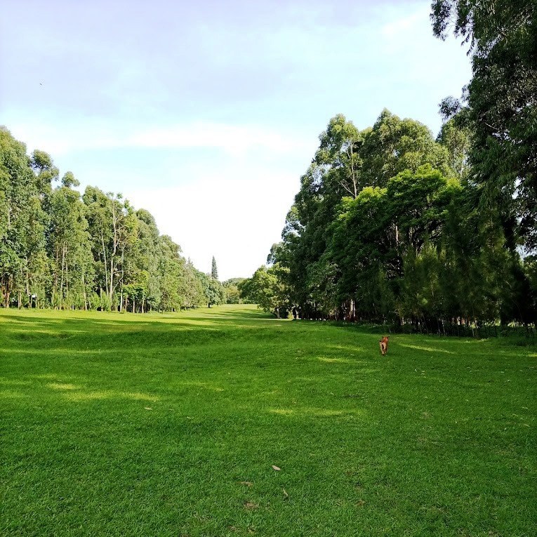 Kisii Sports Club（自然景观 / 徒步）-非行家旅行-Africa Wild Wander