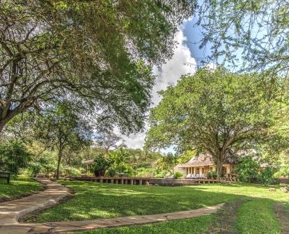 Umani Springs Lodge（乌马尼泉旅舍）-非行家旅行-Africa Wild Wander