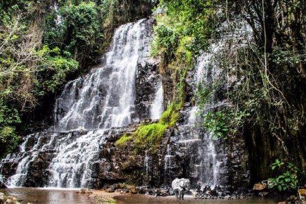 About East Africa（县域概览）-非行家旅行-Africa Wild Wander
