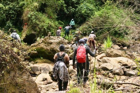 Ragia Forest Trail（拉吉亚森林步道）-非行家旅行-Africa Wild Wander
