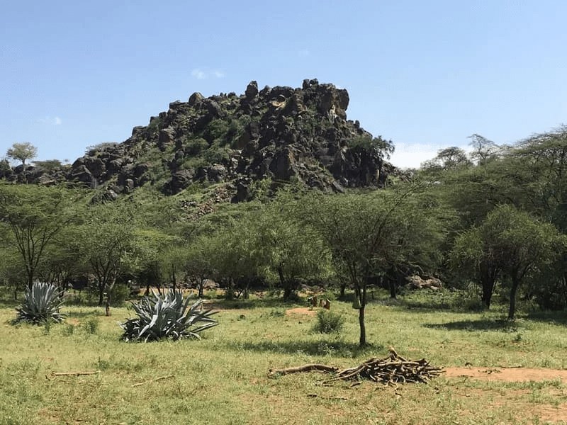 Irong Conservancy-非行家旅行-Africa Wild Wander