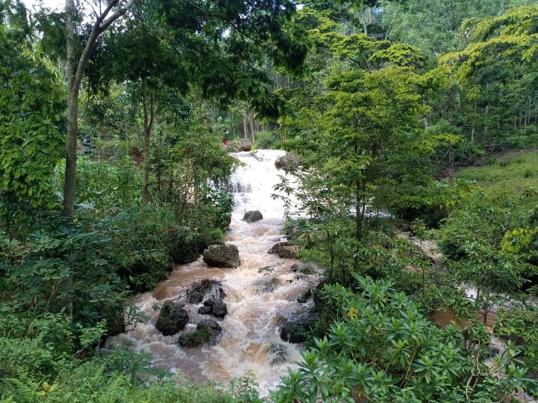 Nthungu Falls（水系 / 湖泊 / 海岸）-非行家旅行-Africa Wild Wander