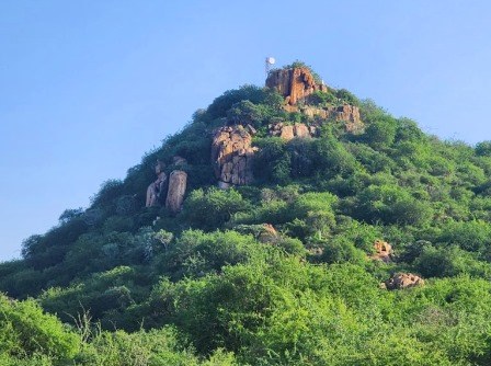 Kitchwa Tembo Hill(Tsavo West / 火山与泉水)-非行家旅行-Africa Wild Wander