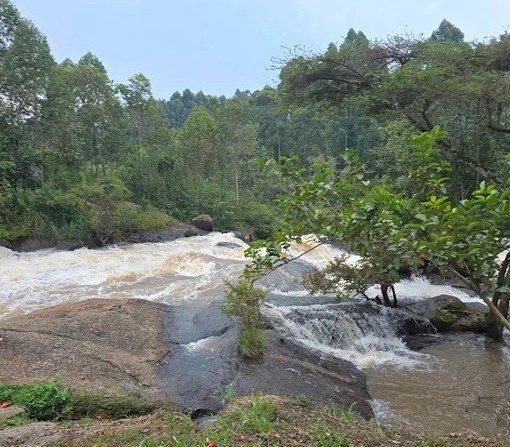 Tindinyo Falls（瀑布）-非行家旅行-Africa Wild Wander