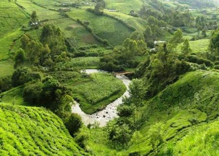 Mathioya River（马蒂奥亚河）-非行家旅行-Africa Wild Wander