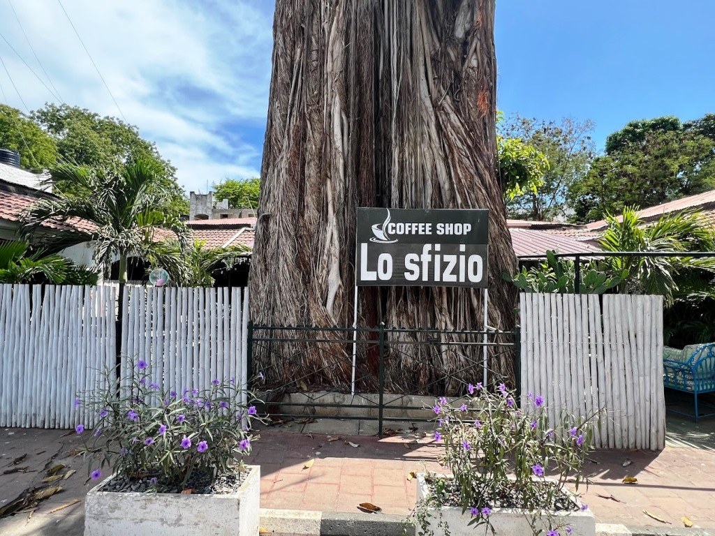 Lo Sfizio Coffee Shop（水系 / 湖泊 / 海岸）-非行家旅行-Africa Wild Wander