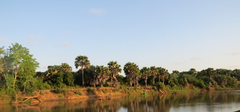 Tana River Delta（水系 / 湖泊 / 海岸）-非行家旅行-Africa Wild Wander
