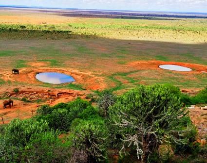 Tsavo East National Park（察沃东国家公园）-非行家旅行-Africa Wild Wander