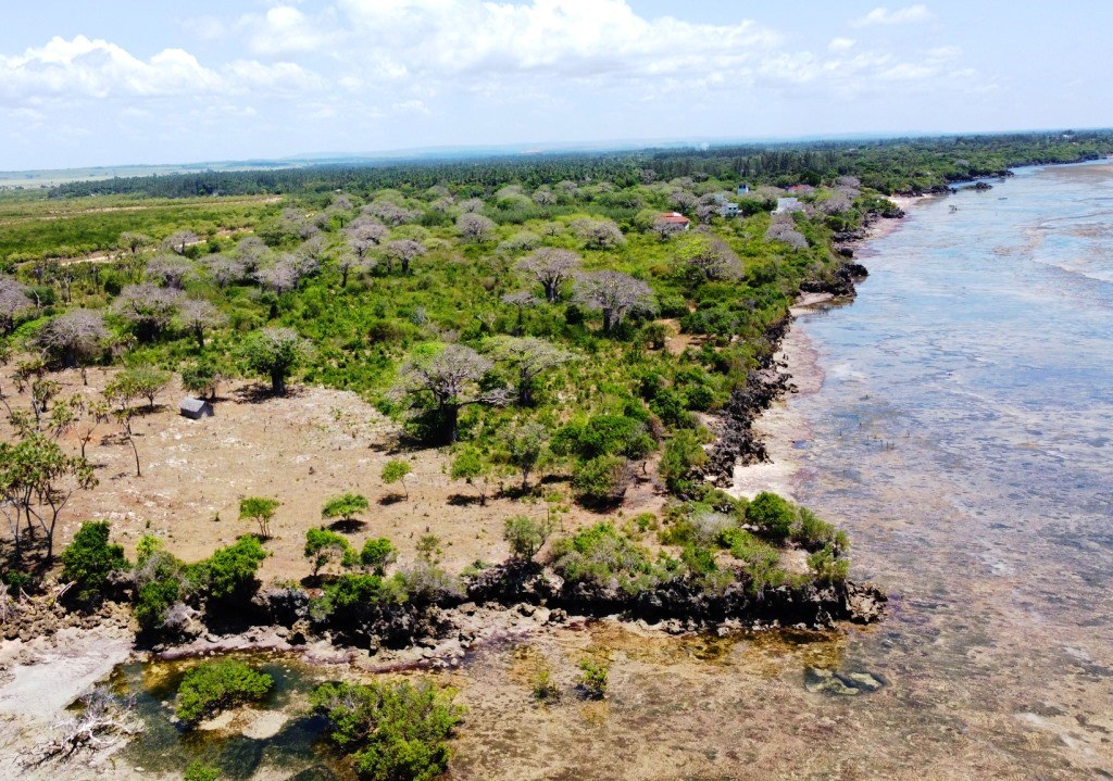 Munje Beach（海滩 / 岛屿）-非行家旅行-Africa Wild Wander