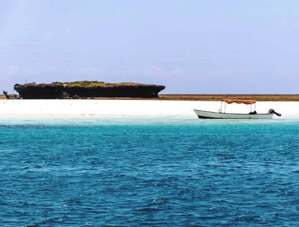 Kisite-Mpunguti Marine Park & Reserve（基西特-姆蓬古蒂海洋公园与保护区）-非行家旅行-Africa Wild Wander