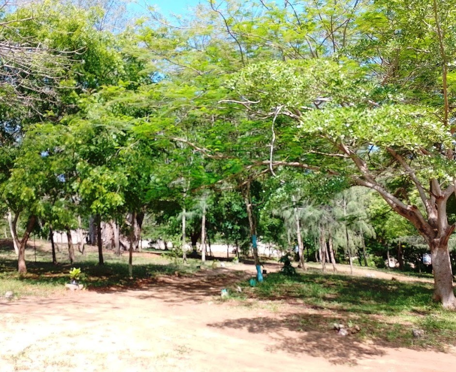 Mazingira Park(国家公园 / 保护区 / Safari)-非行家旅行-Africa Wild Wander