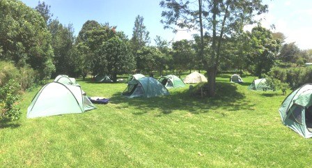 Malewa Bundu Camp(住宿休闲 / 艺术度假)-非行家旅行-Africa Wild Wander