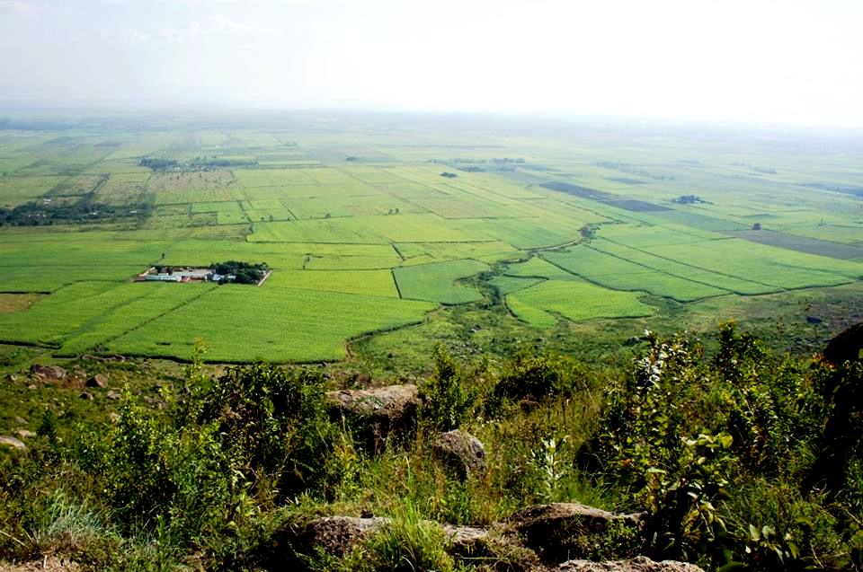 Kisumu County（县域概览）-非行家旅行-Africa Wild Wander