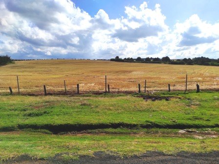 Kisima Farm（农场 / 高地农业）-非行家旅行-Africa Wild Wander