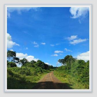 Home(历史遗产 / 博物馆)-非行家旅行-Africa Wild Wander