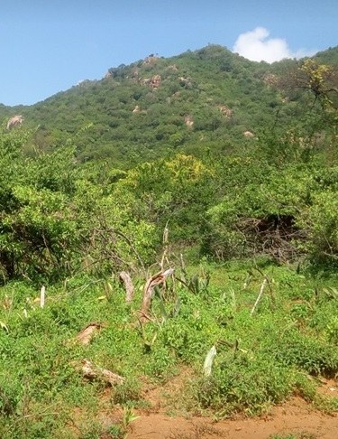 Mutejwa National Reserve（穆特吉瓦国家保护区）-非行家旅行-Africa Wild Wander