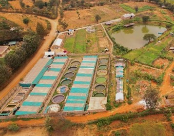 Kamuthanga Fish Farm（县域目的地）-非行家旅行-Africa Wild Wander