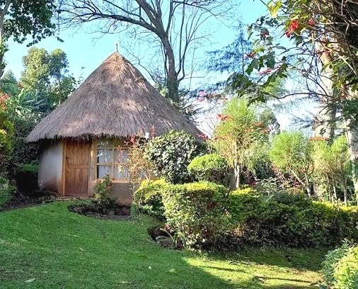 Kip’s Eco Resort（住宿 / 休闲设施）-非行家旅行-Africa Wild Wander