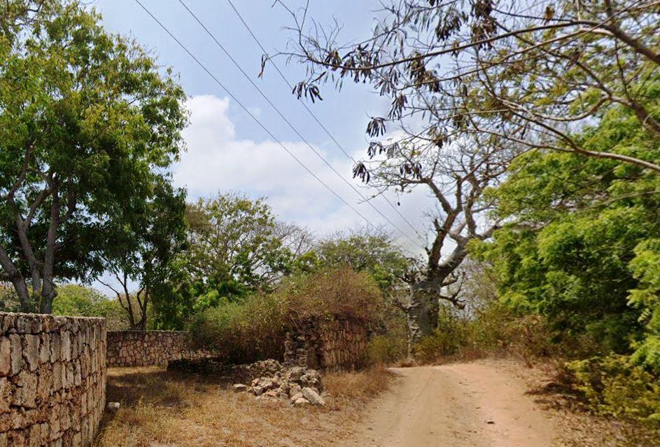 Kitoka Ruins（水系 / 湖泊 / 海岸）-非行家旅行-Africa Wild Wander