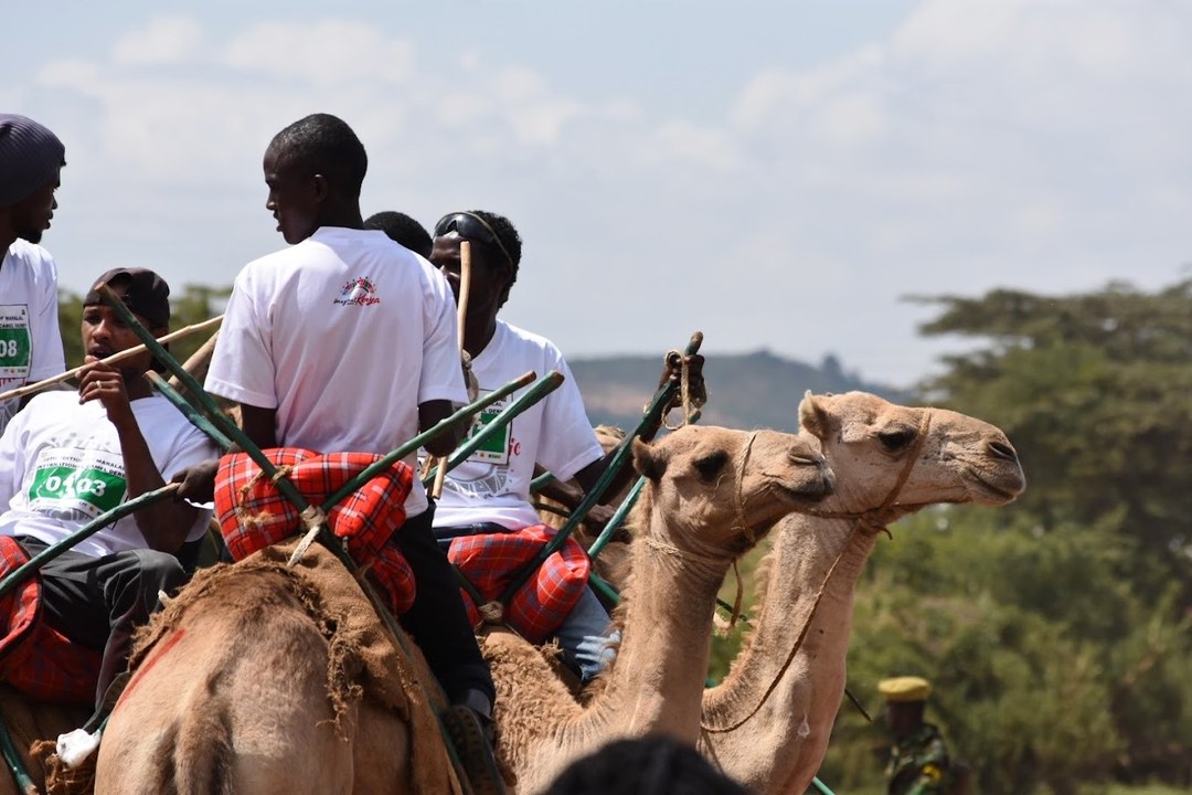 Maralal Camel Derby（马拉拉骆驼德比）-非行家旅行-Africa Wild Wander