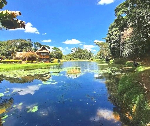 Kapsimotwa Gardens(住宿 / 休闲设施)-非行家旅行-Africa Wild Wander
