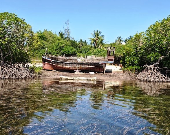 Sudi Island（水系 / 湖泊 / 海岸）-非行家旅行-Africa Wild Wander