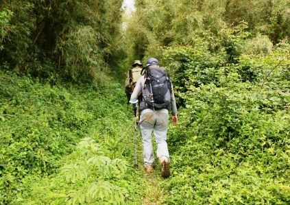 Ragia Forest Trail（拉吉亚森林步道）-非行家旅行-Africa Wild Wander