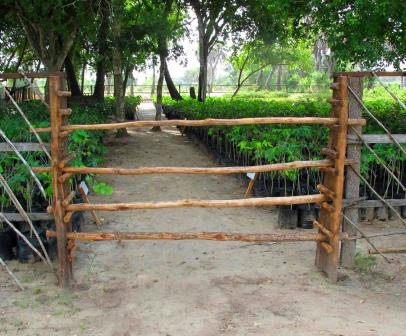 Amu Ranch(保护区 / 海岸生态)-非行家旅行-Africa Wild Wander