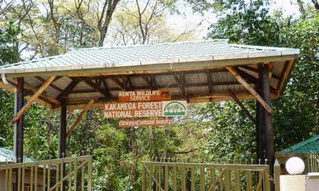 Kakamega County（卡卡梅加县）-非行家旅行-Africa Wild Wander