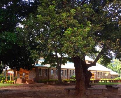 AIC Mumbuni（Kamba 文化 / 城市遗产）-非行家旅行-Africa Wild Wander