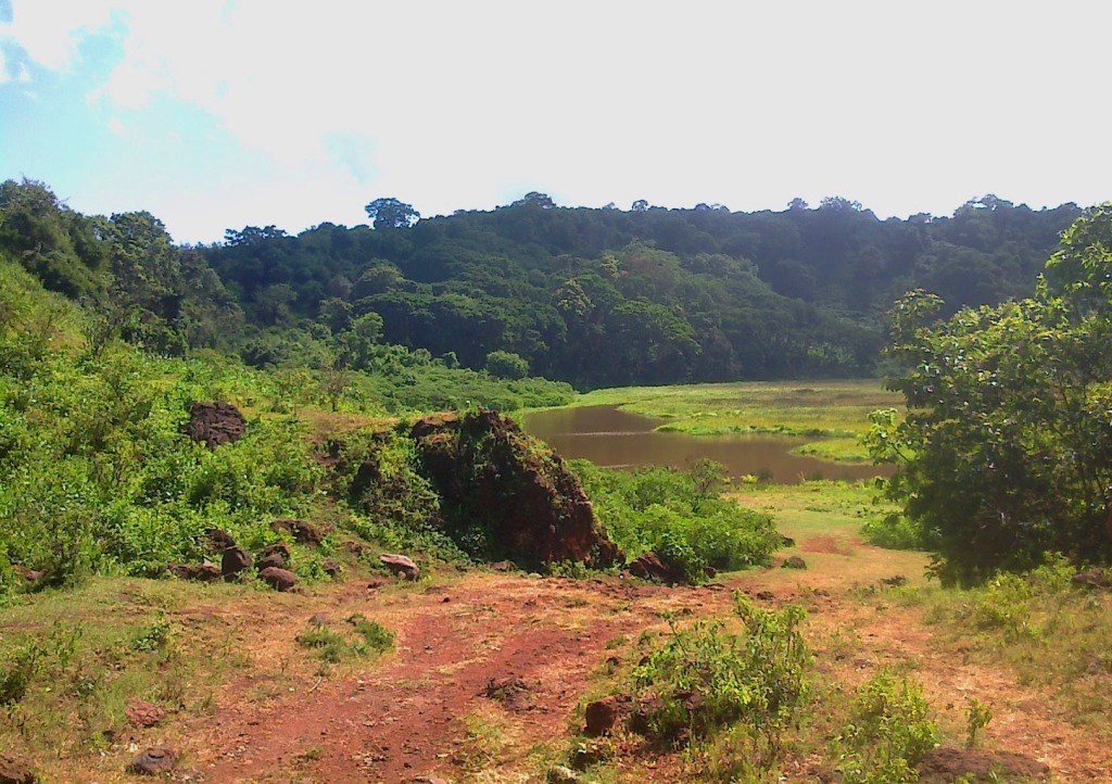 Lake Nkunga（地貌 / 瀑布 / 泉水）-非行家旅行-Africa Wild Wander