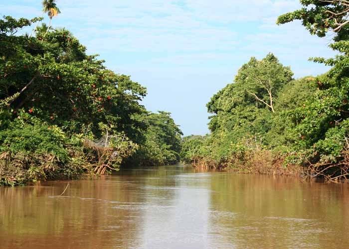 Tana River Delta（水系 / 湖泊 / 海岸）-非行家旅行-Africa Wild Wander