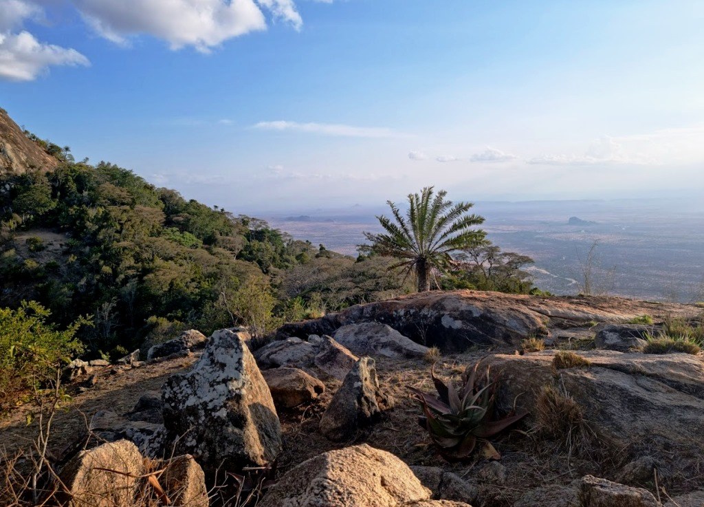Sarara Camp（住宿 / Safari 营地）-非行家旅行-Africa Wild Wander