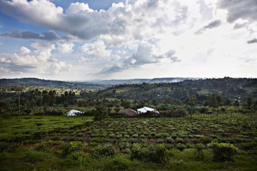 Nyamira County（尼亚米拉县）-非行家旅行-Africa Wild Wander