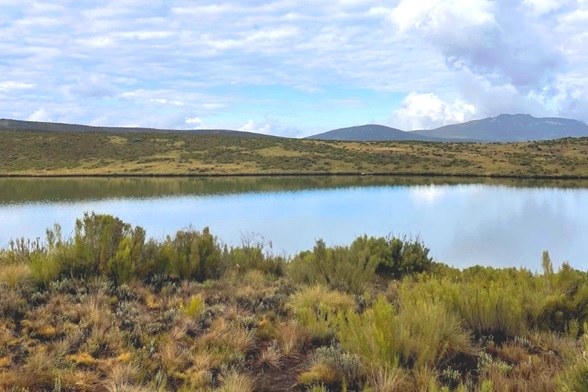 Lake Ellis（埃利斯湖）-非行家旅行-Africa Wild Wander
