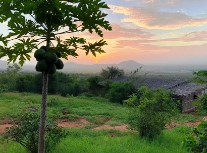 Camp Tsavo（住宿 / Safari 营地）-非行家旅行-Africa Wild Wander