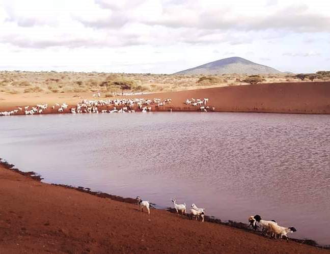 Harr Girrissa（水系 / 湖泊 / 海岸）-非行家旅行-Africa Wild Wander