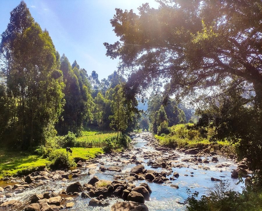 Mathioya River（马蒂奥亚河）-非行家旅行-Africa Wild Wander