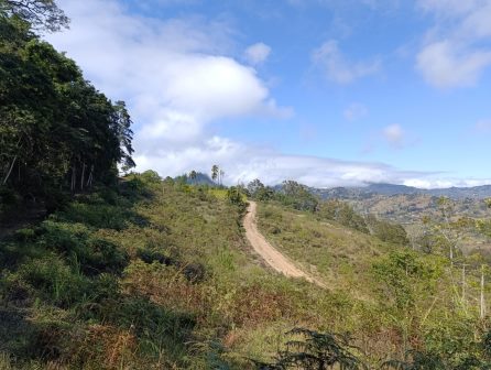 Ngangao Forest（恩冈高森林）-非行家旅行-Africa Wild Wander