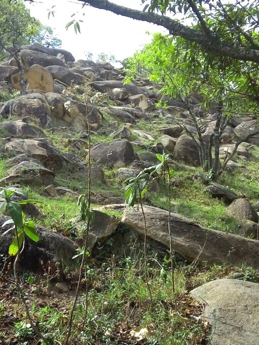 Cheruiyot Ecosystem（县域目的地）-非行家旅行-Africa Wild Wander